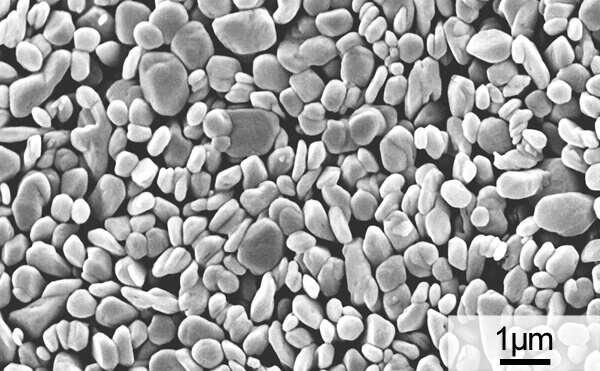 高純度水酸化マグネシウム PUREMAG®️FNM-HSのSEM写真